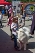 Samojedí dny 
