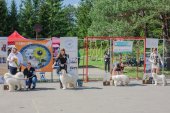 Samojedí dny 