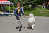 Samojedí dny 