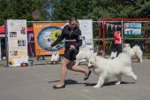 Samojedí dny 
