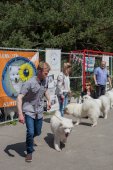 Samojedí dny 