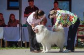 Samojedí dny 