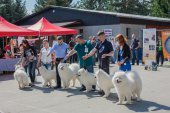 Samojedí dny 