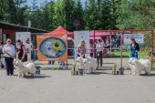 Samojedí dny 