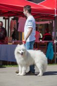 Samojedí dny 