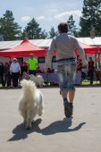 Samojedí dny 