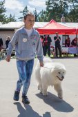 Samojedí dny 