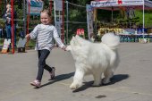 Samojedí dny 