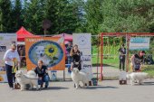 Samojedí dny 