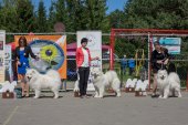 Samojedí dny 