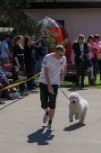 Samojedí dny 