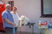 Samojedí dny 