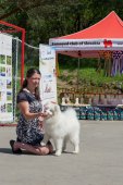 Samojedí dny 