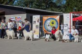 Samojedí dny 