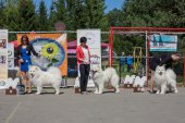 Samojedí dny 