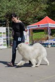 Samojedí dny 