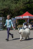 Samojedí dny 
