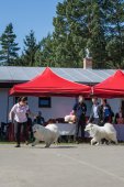 Samojedí dny 