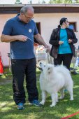 Samojedí dny 