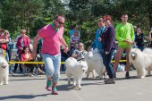 Samojedí dny 