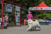 Samojedí dny 