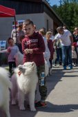 Samojedí dny 