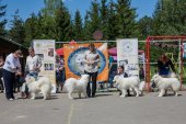 Samojedí dny 