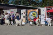 Samojedí dny 