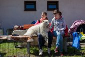 Samojedí dny 