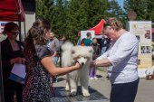 Samojedí dny 