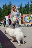 Samojedí dny 