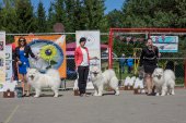 Samojedí dny 
