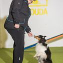 Obedience seminář