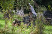 Airsoft