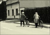 Momentky